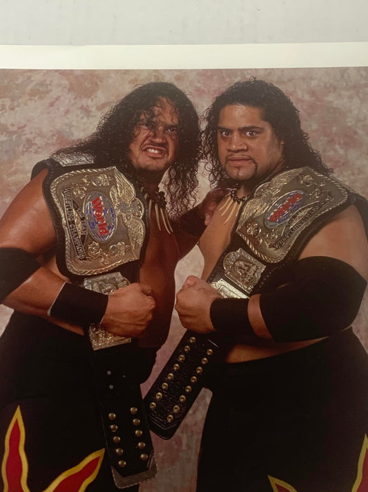 Head Shrinkers “WWE Tag Team Champions” 1994 Official WWE Promo P-210