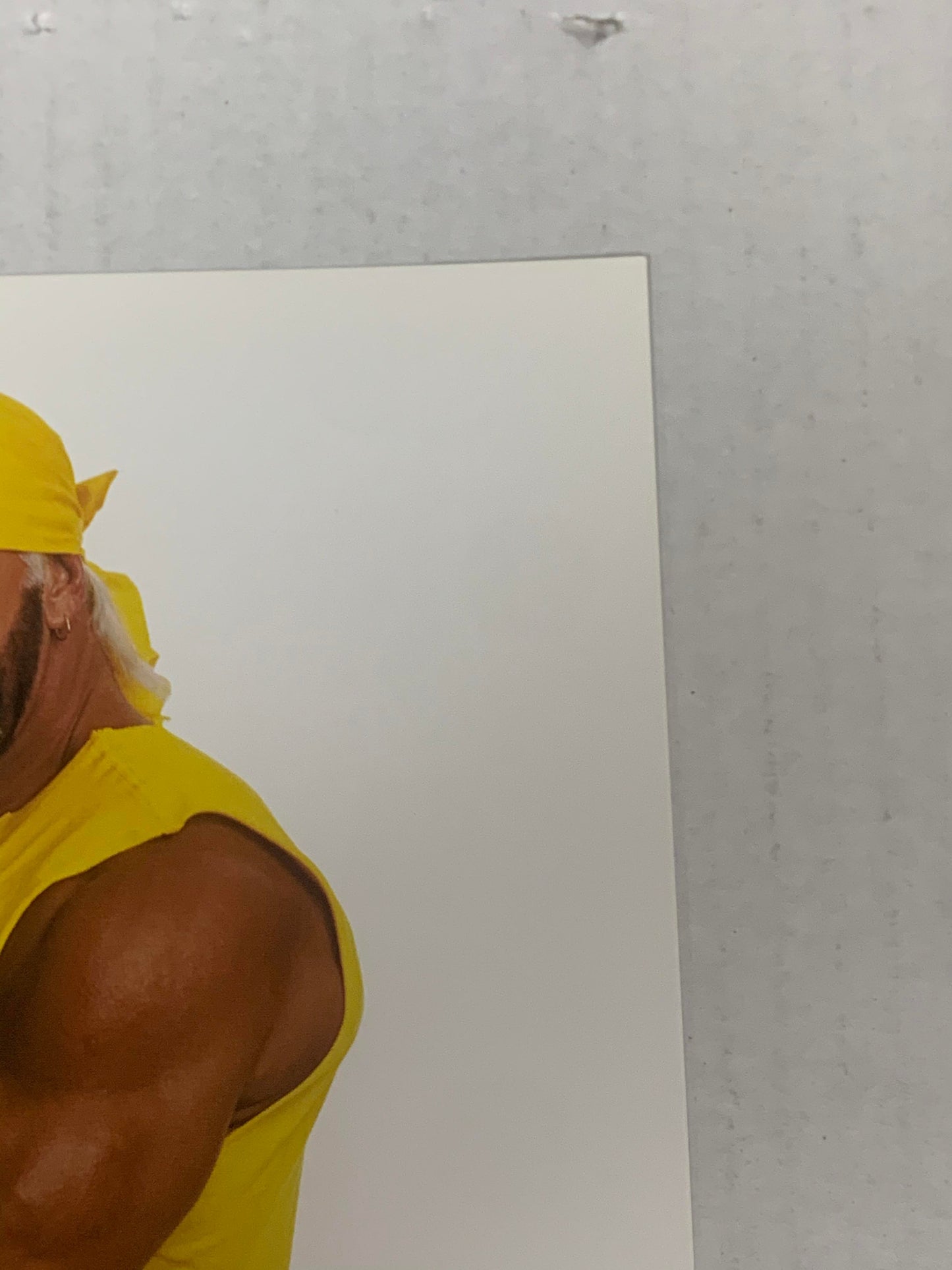 Hulk Hogan Official WWE Promo P-757 Promo