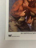 Bushwackers 1995 WWE Official WWE Color Promo P-267