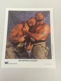 Bushwackers 1995 WWE Official WWE Color Promo P-267