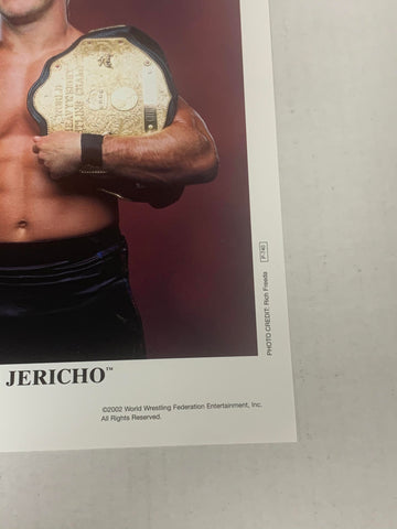 Undisputed: How to Become the World by Jericho, Chris