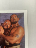 Bushwackers 1995 WWE Official WWE Color Promo P-267