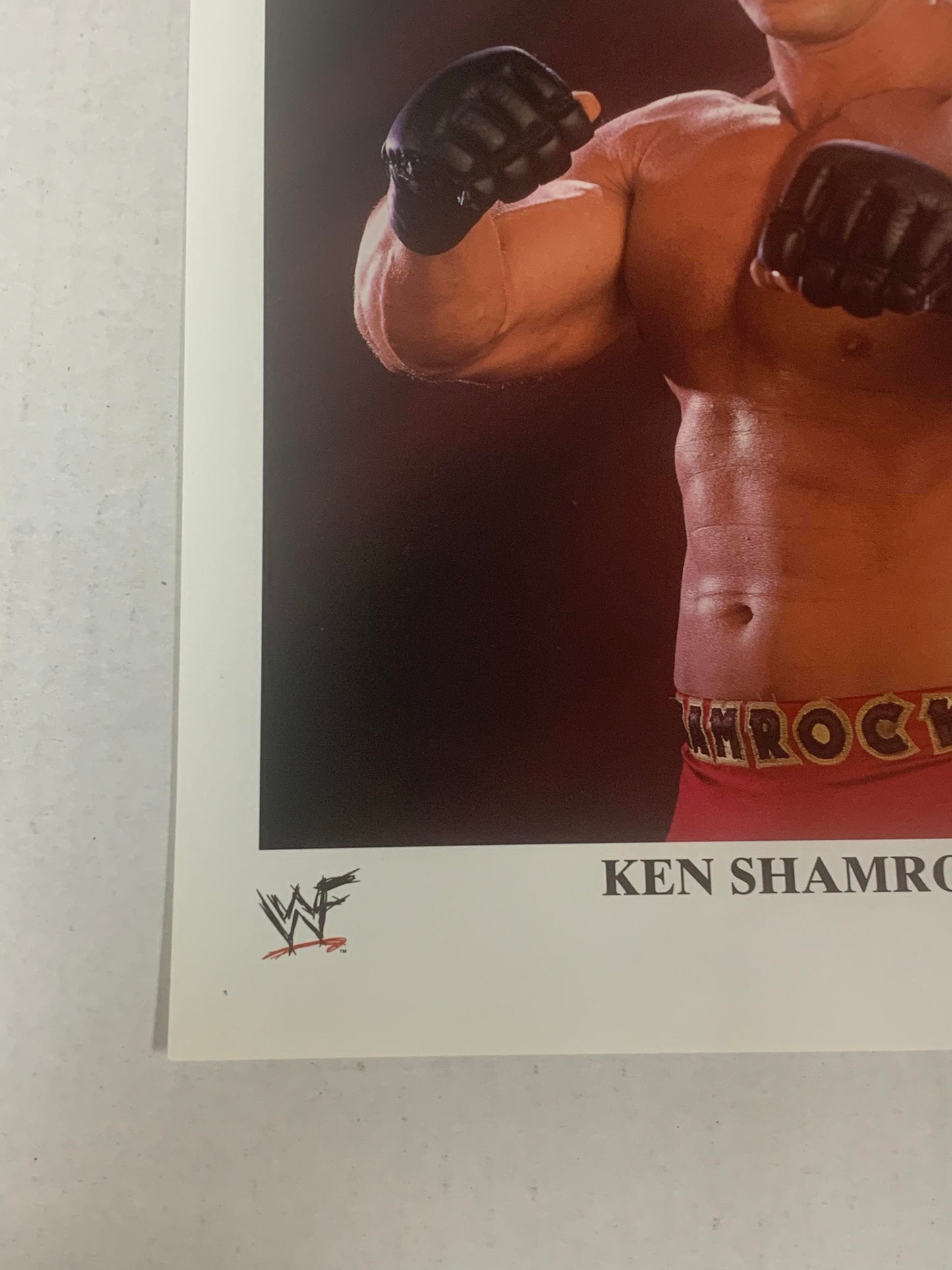 Ken Shamrock 1997 Official WWE Color Promo P-421