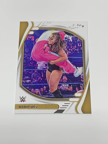 Mandy Rose 2022 WWE Panini Absolute Card #123