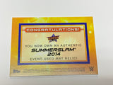 RVD Rob Van Dam 2015 WWE Topps “Summerslam 2014 Event-Used Mat Relic Card