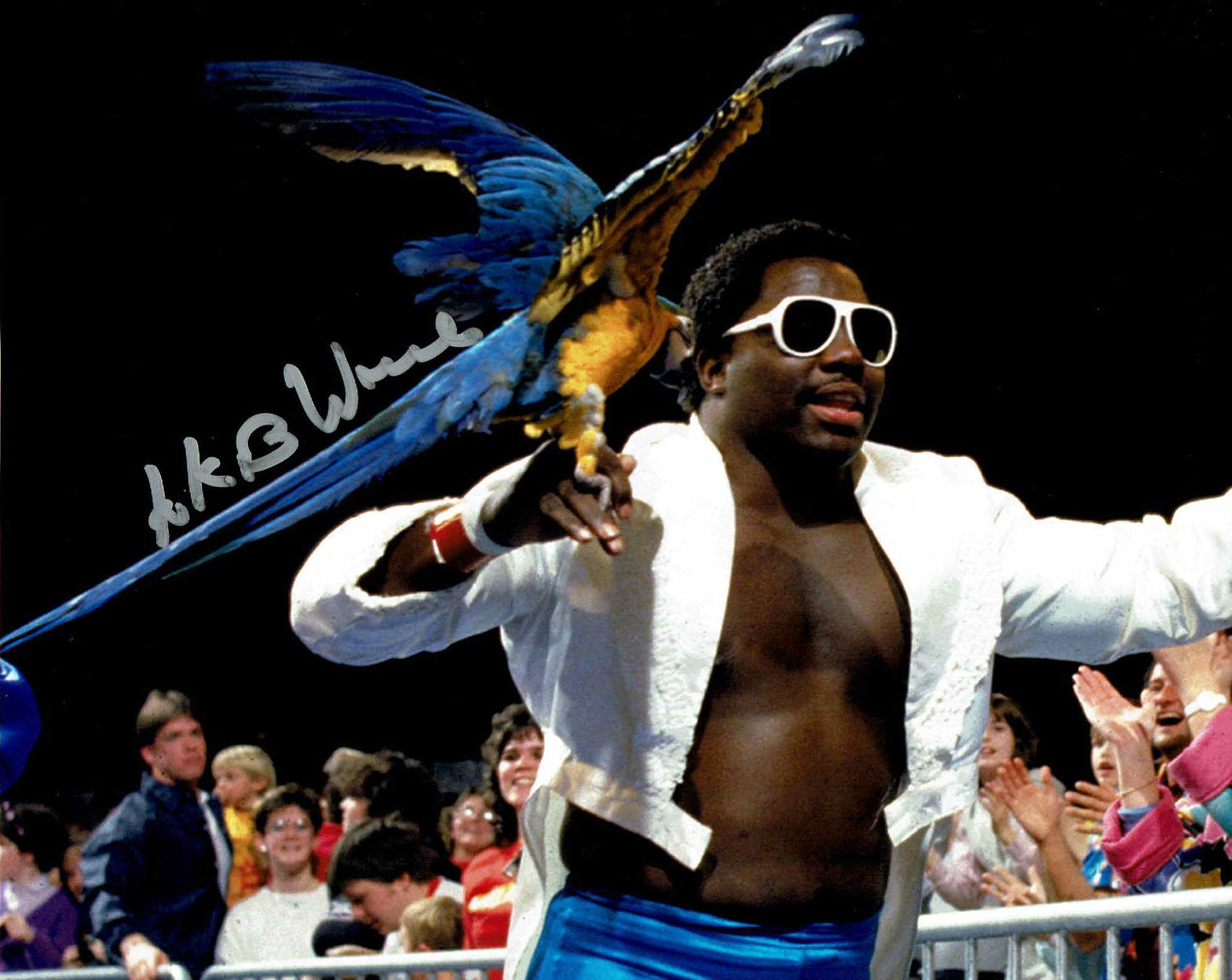 Koko B Ware Pose 1 Signed Photo COA