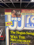 PWI Pro Wrestling Illustrated Magazine January 1989 Elizabeth Windham Poster