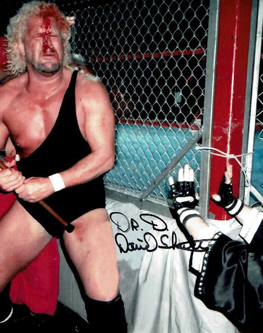 David Schultz Inscribed "Doctor D" Pose 8 (Black Ink) Signed Photo COA