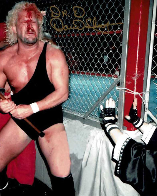 David Schultz Inscribed "Doctor D" Pose 8 (Gold Ink) Signed Photo COA