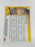 Daniel Bryan 2010 WWE Topps ROOKIE Blue Parallel #393/2010