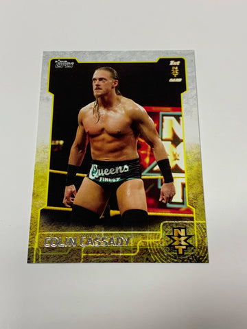 Big Cass 2015 WWE NXT Rookie Card #5