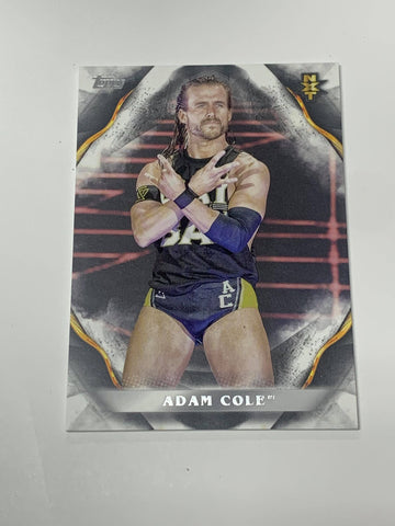 Adam Cole 2019 WWE Undisputed NXT Card #76