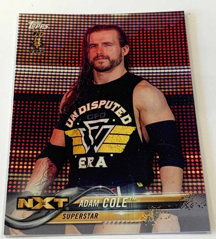 Adam Cole 2018 WWE NXT 1st Rookie Card #1