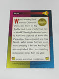 Diesel aka Kevin Nash 1995 WWF WWE Magazine Card