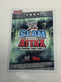 Tommy Dreamer 2009 WWE Topps Slam Attax