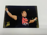 Tommy Dreamer 2007 WWE Topps Action Card #66