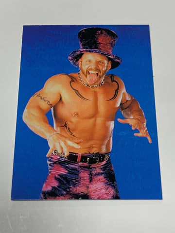 Droz 1999 WWE Comic Images Card #15
