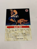 Eddie Guerrero 1995 BBM Rookie Card #33