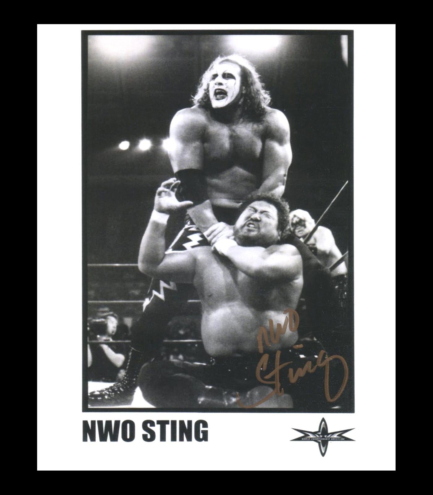 NWO Sting (Jeff Farmer - Sting Imposter) Pose 1 Signed Photo COA