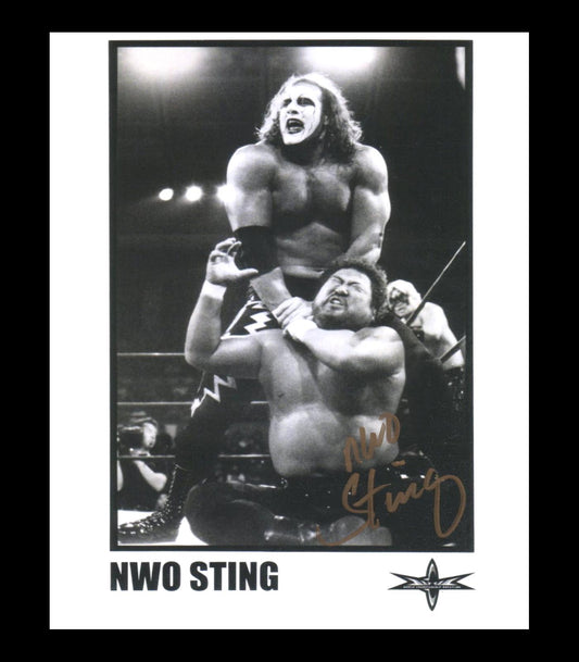NWO Sting (Jeff Farmer - Sting Imposter) Pose 1 Signed Photo COA