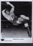 Don Muraco Pose 2 Signed (8x5x11) Photo COA