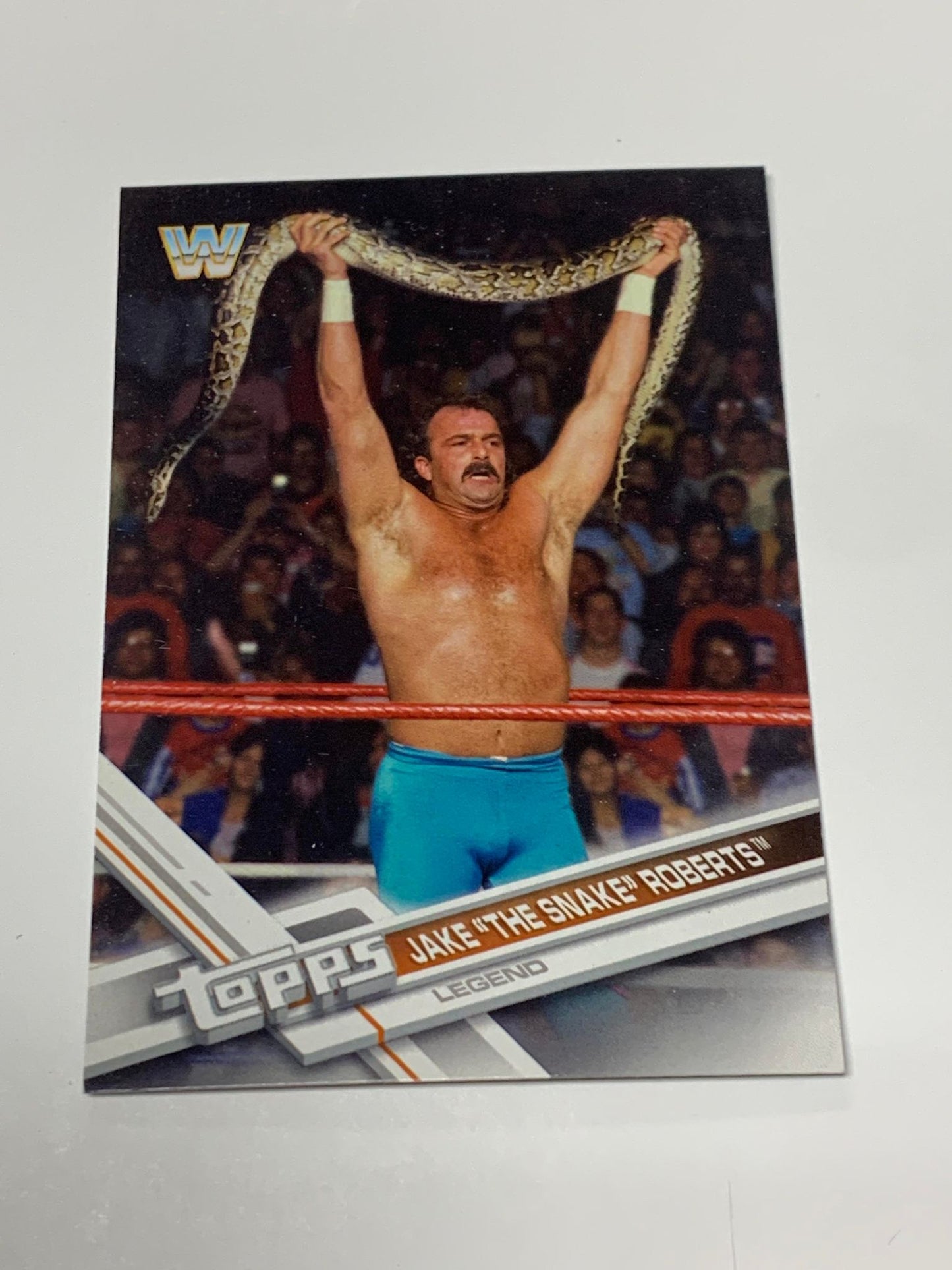 Jake “The Snake” Roberts 2017 WWE Topps Card #188