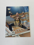 Shawn Michaels 2017 WWE Topps Bronze Parallel Card #195