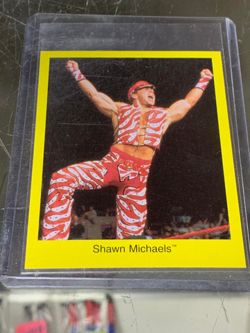 Shawn Michaels 1997 WWF WWE Cardinal Trivia Game Card