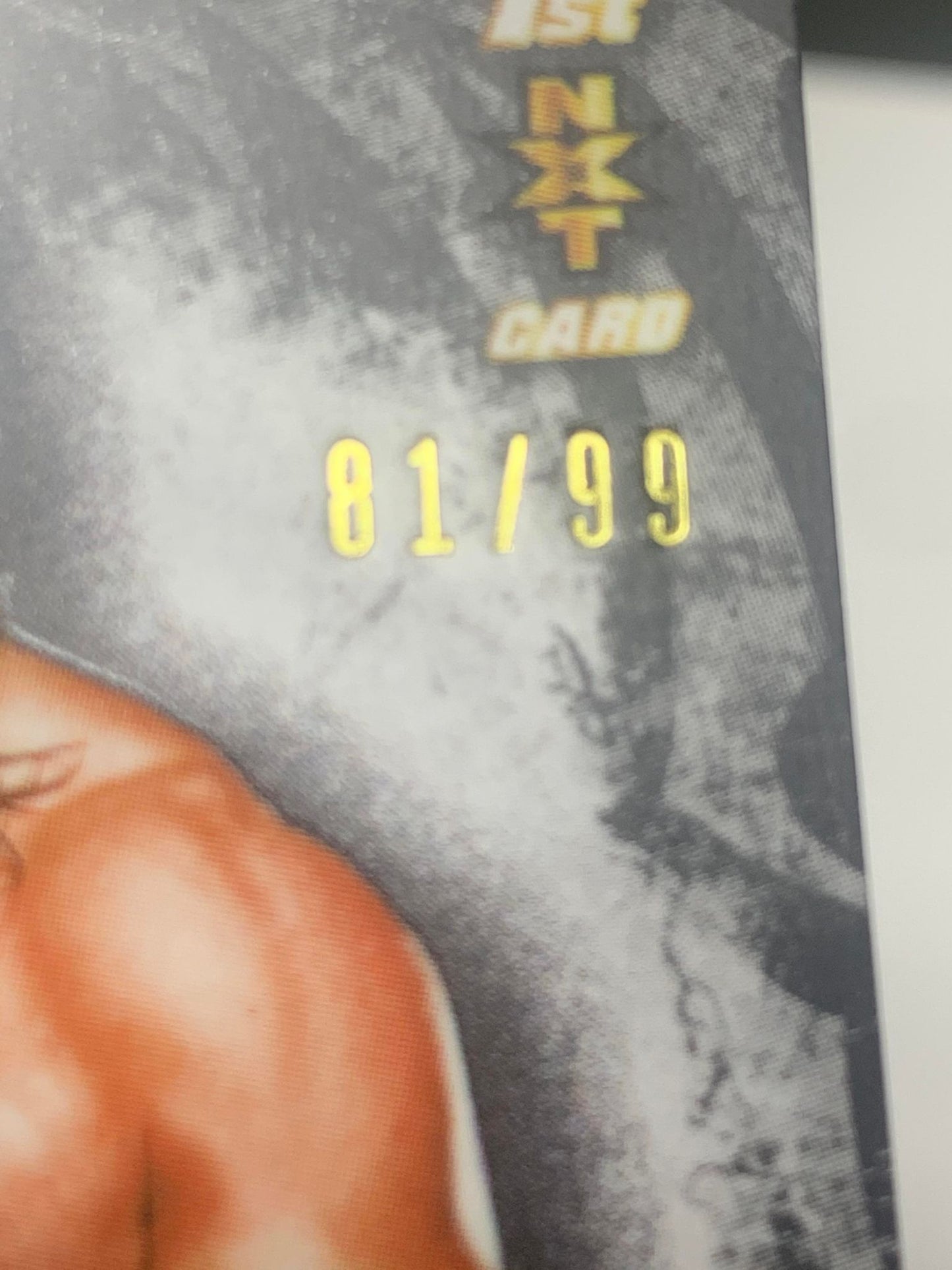 Buddy Murphy 2015 WWE NXT Undisputed ROOKIE #NXT7 #81/99