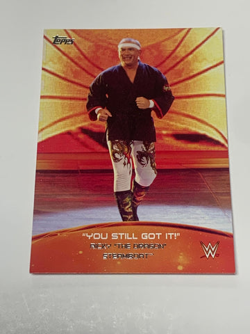 Ricky Steamboat 2015 WWE Topps Insert Card #1