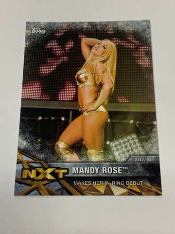 Mandy Rose 2017 WWE NXT Topps Card #NXT-19