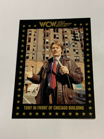 Tony Schiavone 1991 WCW Rookie Card #101