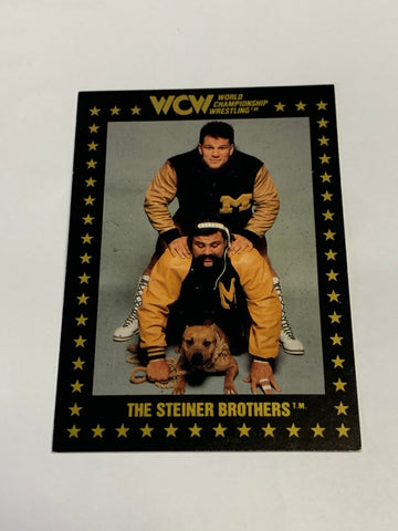 Steiner Brothers (Scott & Rick) 1991 WCW Rookie #6