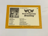 Steiner Brothers (Scott & Rick) 1991 WCW Rookie #6