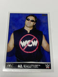 Mr. Wallstreet aka IRS 2015 Topps NWO Spotlight Subset #36